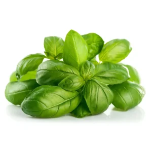albahaca