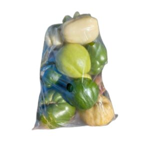 chayote cororo 1