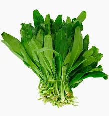 culantro coyo