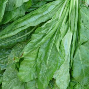real spinach, spinach, vegetables, green, market, spinacia oleracea, vegetables spinach, garden spinach, spinach, spinach, spinach, spinach, spinach