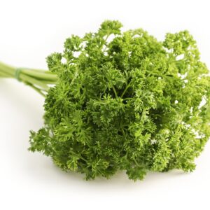 parsley, herb, food, curly parsley, garden parsley, petroselinum crispum, culinary herbs, ingredient, organic, natural, parsley, parsley, parsley, parsley, parsley