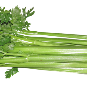 celery, vegetable, food, vegetarian, cooking, healthy, diet, cut out, isolated, celery, celery, celery, celery, celery