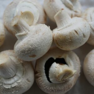mushrooms, white mushroom, meal, healthy, white, fresh, white mushroom, white mushroom, white mushroom, white mushroom, white mushroom
