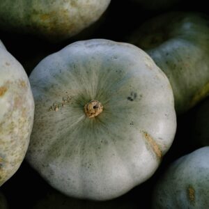 A detailed view of blue pumpkins showcasing their natural texture and color, ideal for fall themes.
