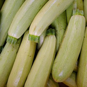 Close-up view of fresh green zucchinis in abundance, perfect for food photography and vegetable-themed needs.