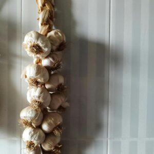 Vertical shot of a braided garlic strand hanging against a kitchen tiled wall.