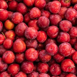 Vibrant red plums displayed in abundance, showcasing organic freshness. Perfect for culinary inspiration.