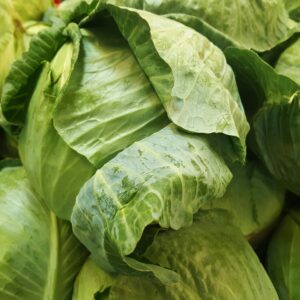 Close-up of fresh organic green cabbages at a market in Humble, Texas.