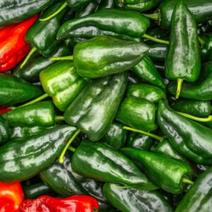 A vibrant assortment of fresh green and red chili peppers showcasing their texture and color.