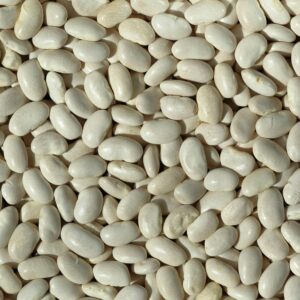 High-resolution image of white beans, ideal for culinary and agricultural themes.