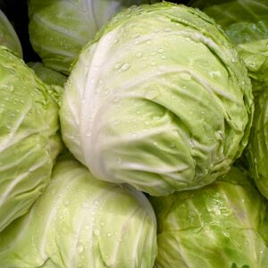 Close-up of fresh green cabbage heads covered in water droplets, showcasing texture and freshness.