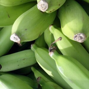 A detailed close-up of fresh green bananas, unripe and captured from above, showcasing their texture.