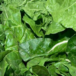 Close-up view of fresh green spinach leaves showcasing texture and vibrancy.